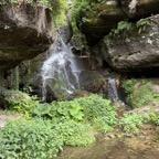IMG_0282.jpg